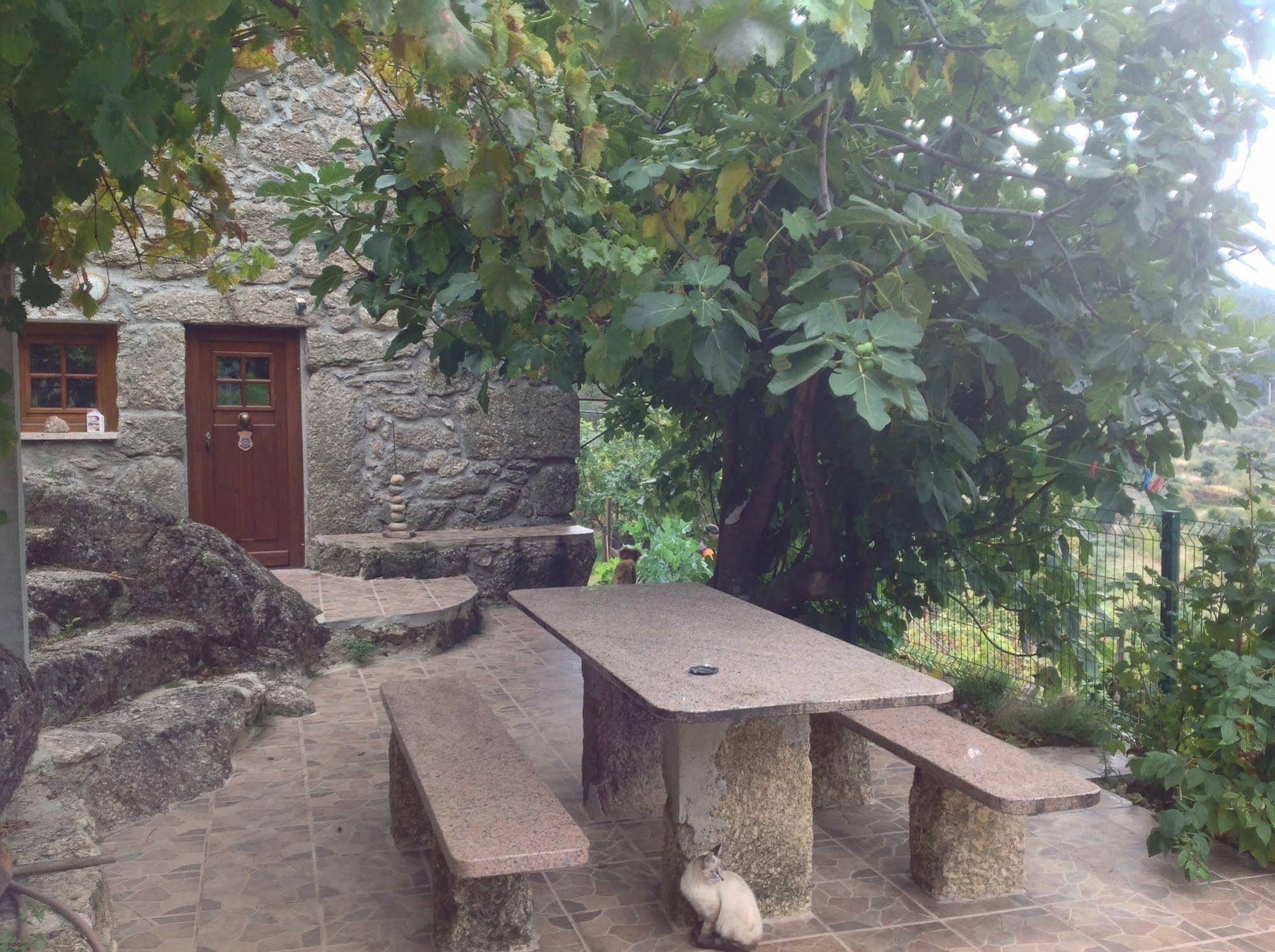 Quinta Do Circo - Serra Da Estrela - Holiday home *